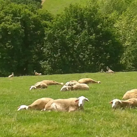 Hébergement de vacances Pena Plata *