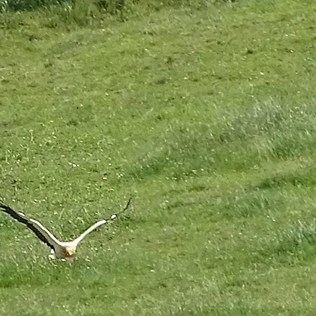 بيت للعطل Pena Plata
