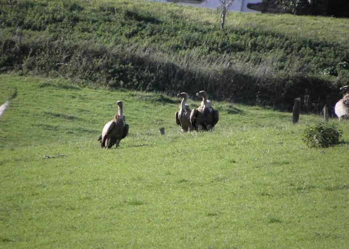 بيت للعطل Pena Plata *