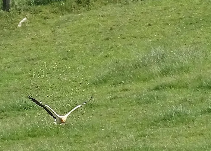 بيت للعطل Pena Plata